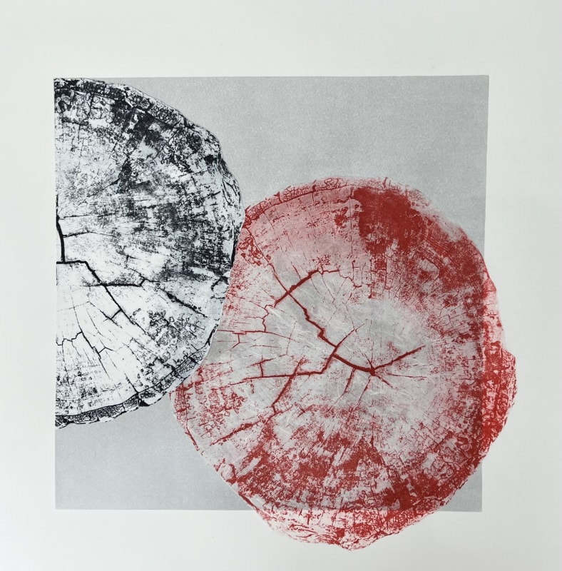 Kiran Vaswani Lifetime VII
