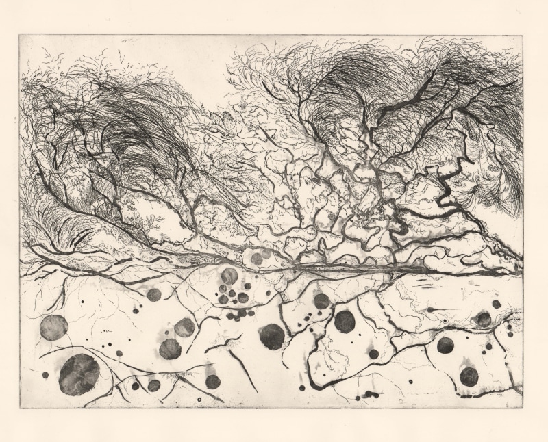 Huiyan Zhang Mycelium