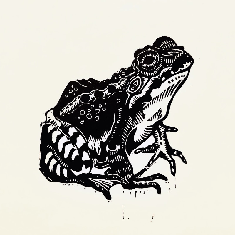 Hazel Brown Frog