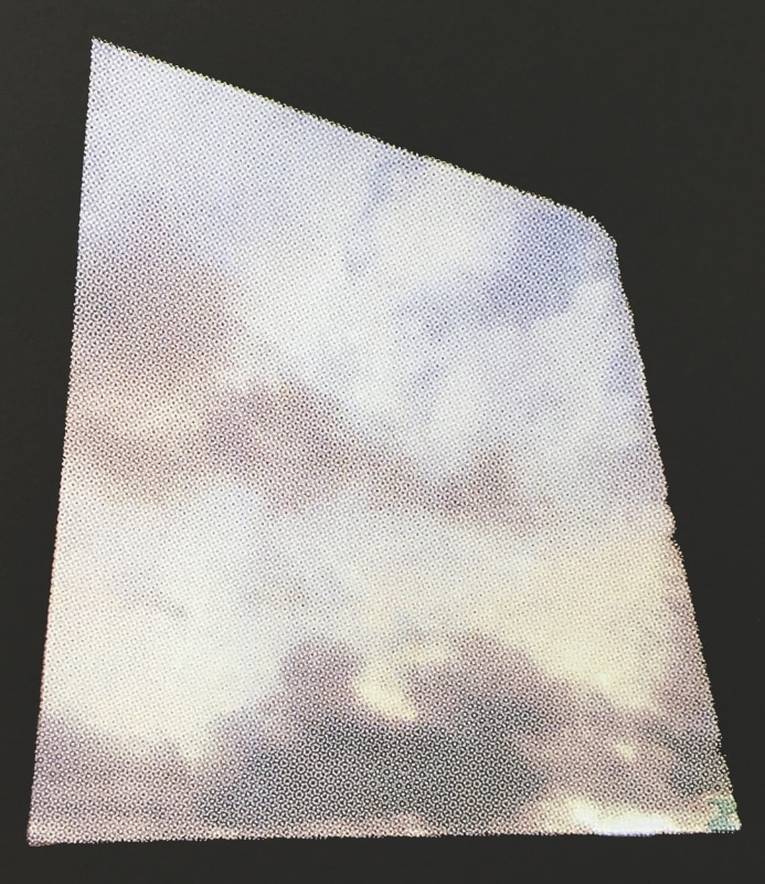 Lisa Chappell Oblique
