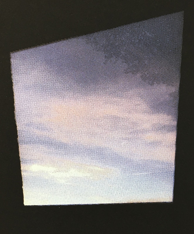 Lisa Chappell Oblique 2