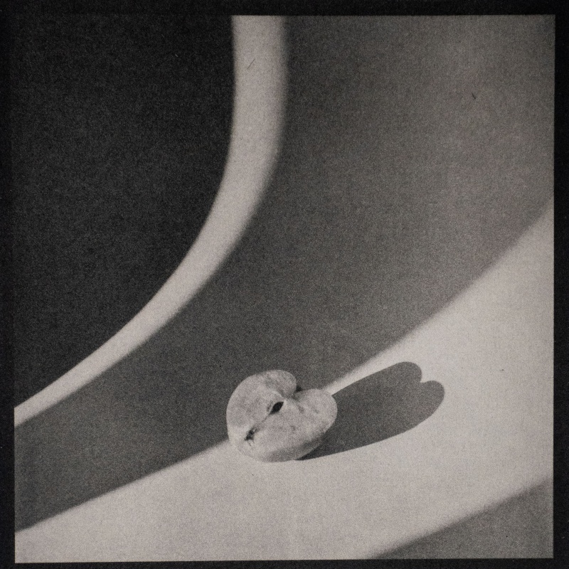 Angela Crosti Study of an Apple with the natural light