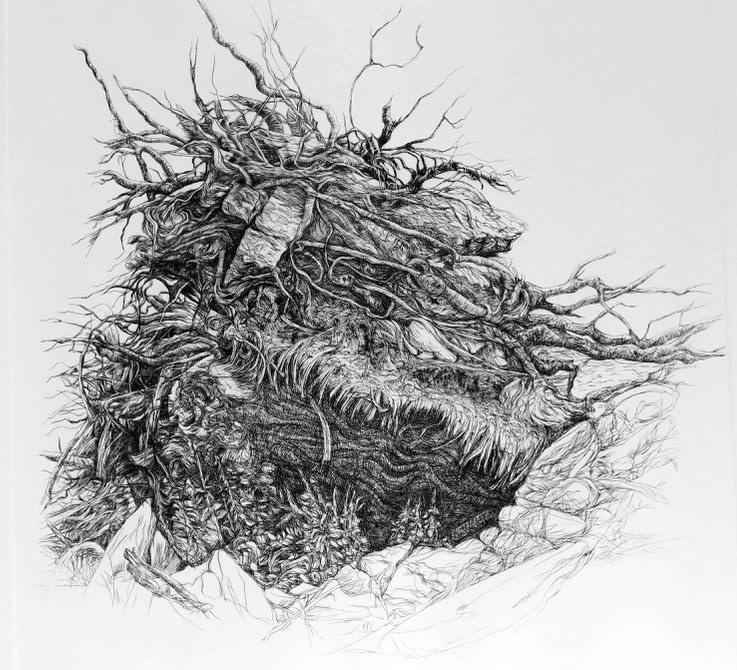 Eleanor Durbin Uprooted Tree Roots