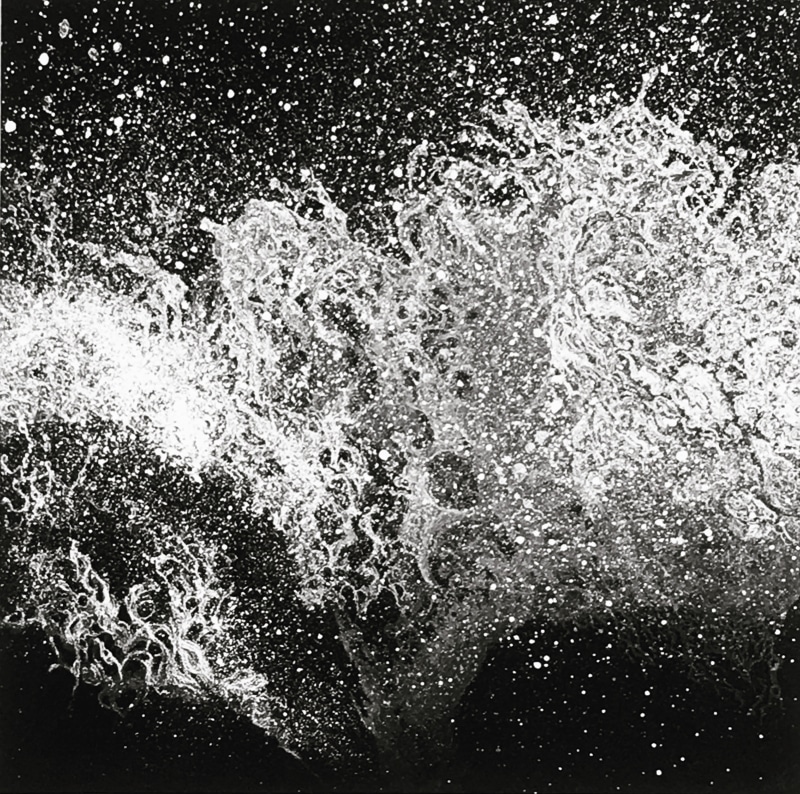Marianne Ferm Wild Oceans III