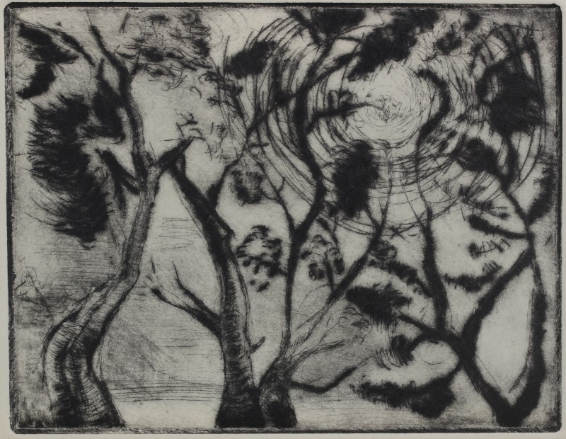 Evangelia Hamilton Canopy - Hampstead