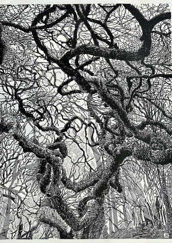 Aga Kubish The Tree
