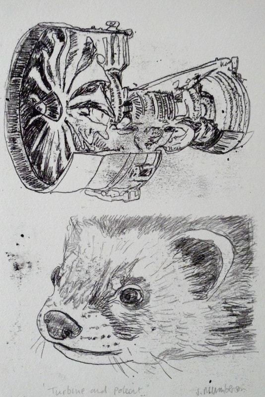 Stephen Mumberson Turbine and Polecat