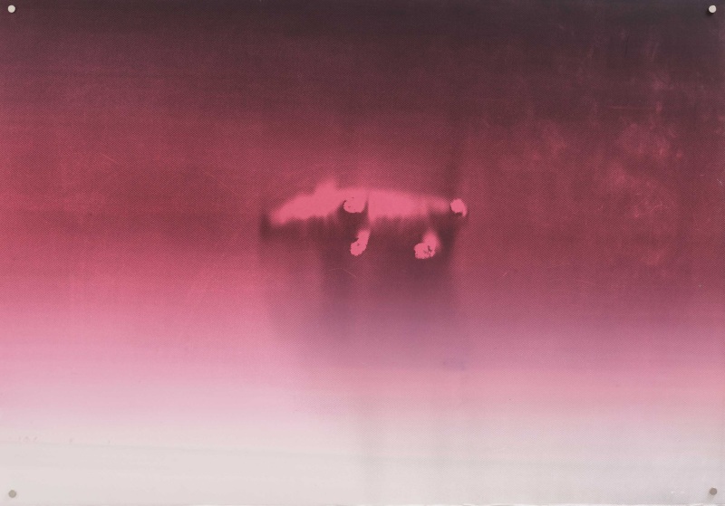Kathryn Niamh Graham Cloven Crossing