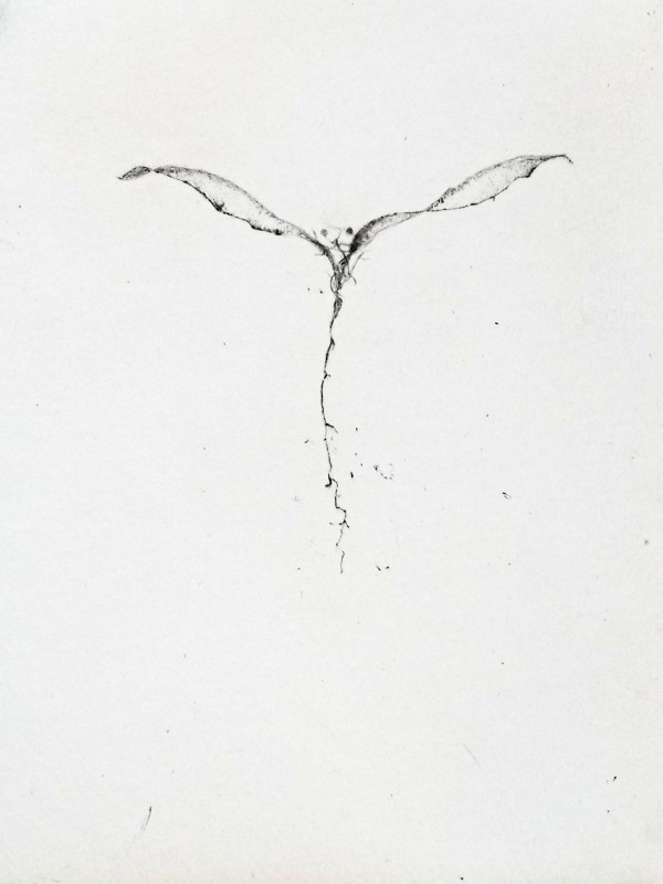 Lars Nyberg A Midsummer Night Angel