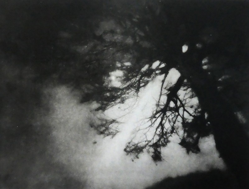 Amanda Salter Moonbeam