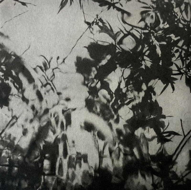 Amanda Salter Ripples
