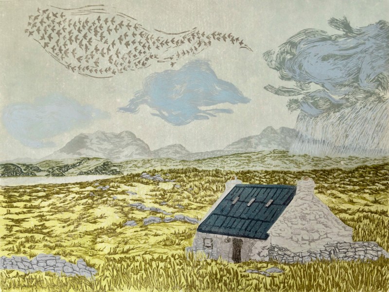Ewa Schreiber Coorie