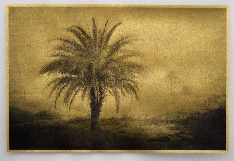 Barrie Watts Three Palms, Chhattisgarh, India