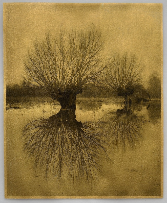 Barrie Watts Two Willows, Herefordshire