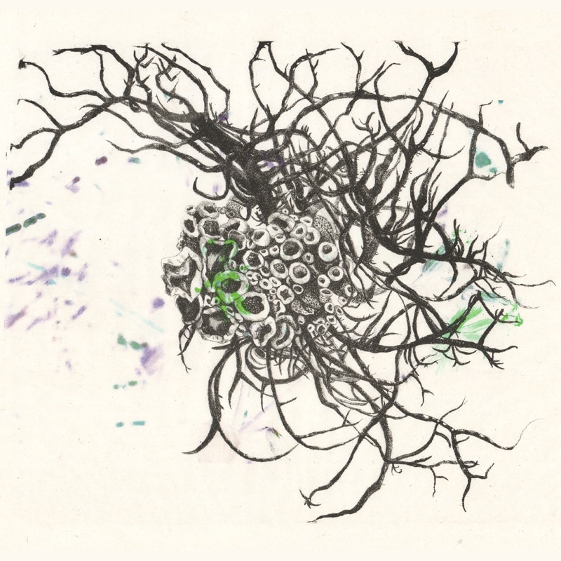 Huiyan Zhang Lichen