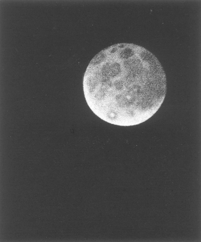 Fran Cresswell Lunar Shadows