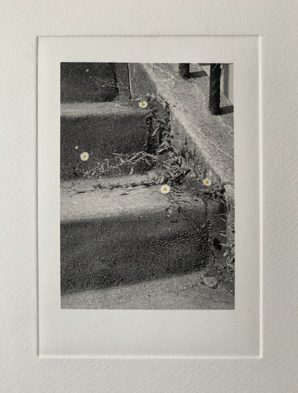 Claire Hynds Street Flowers No.1
