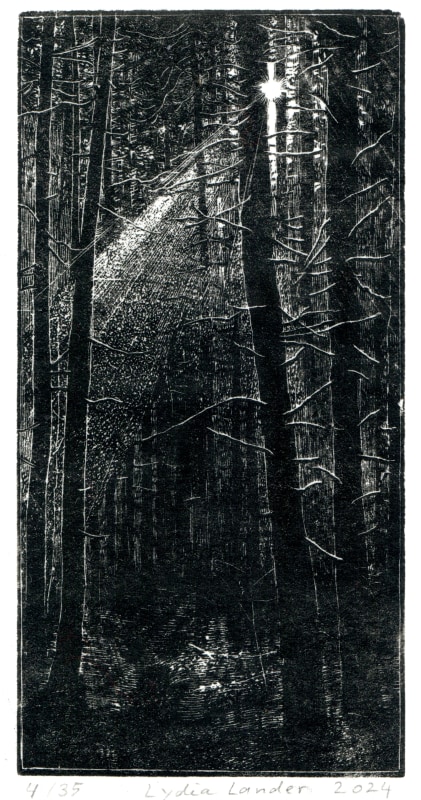 Lydia Lander Forest