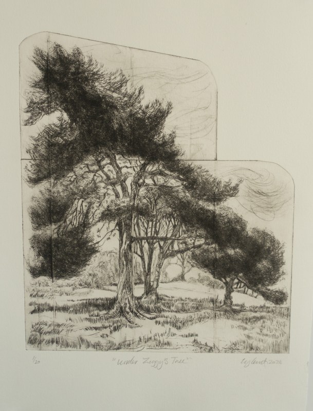 Ky Lewis Under Ziggy's Tree