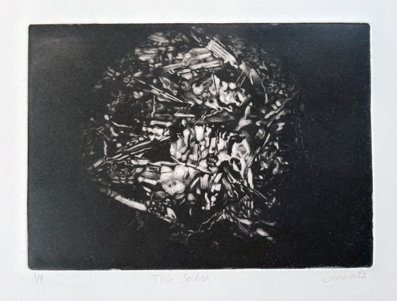 Anna Marris Thin Section