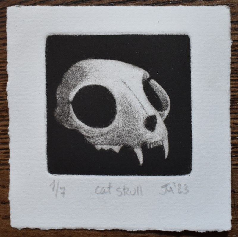 Jess Milhausen Cat Skull