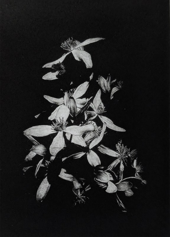 Ros Pritchard After Winter