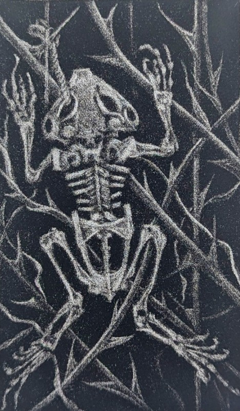 Molly Wallis The Toadman- Folklore From Fens