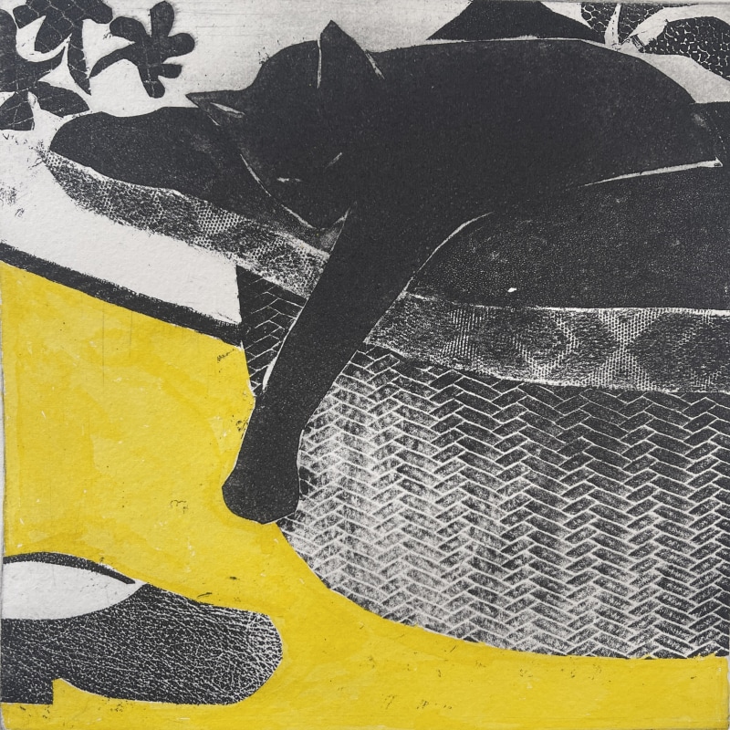 Fouzia Zafar Cat Noir