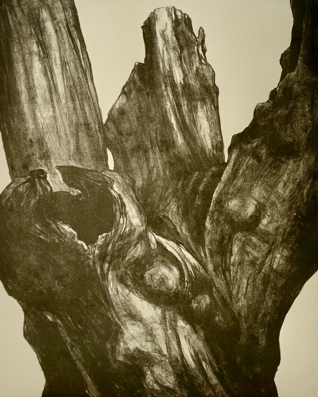 Annabel Cullen Remnant, Oaks Park (I)