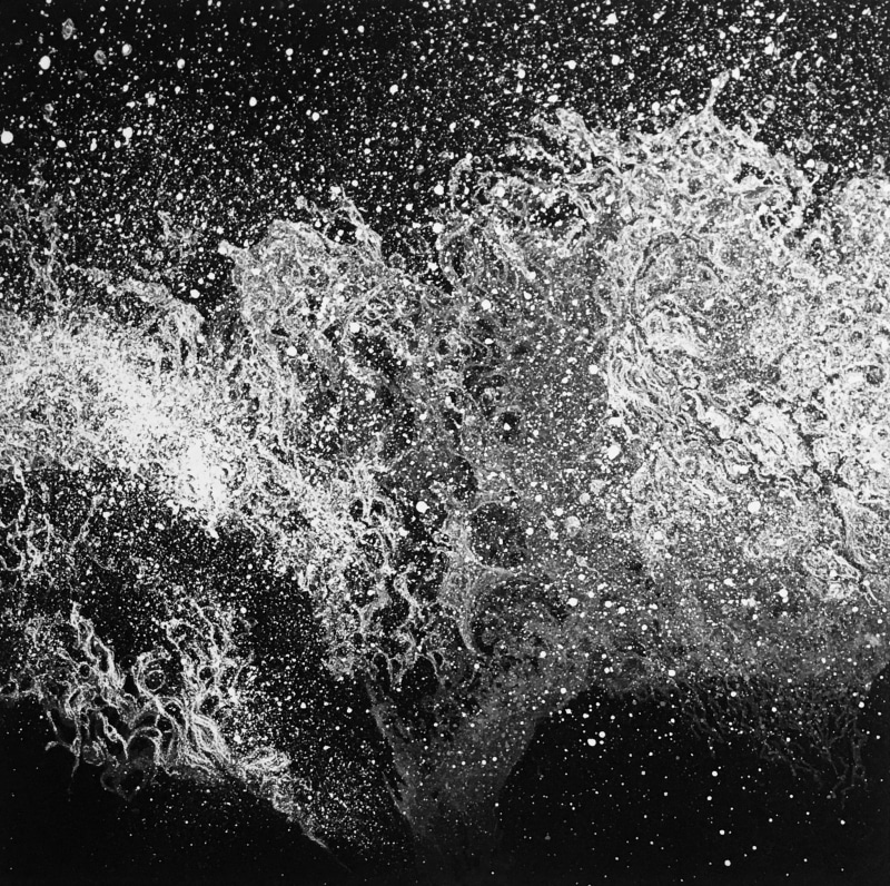 Marianne Ferm Wild Oceans III