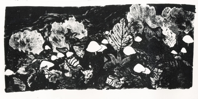 Huiyan Zhang The Hidden Mushrooms