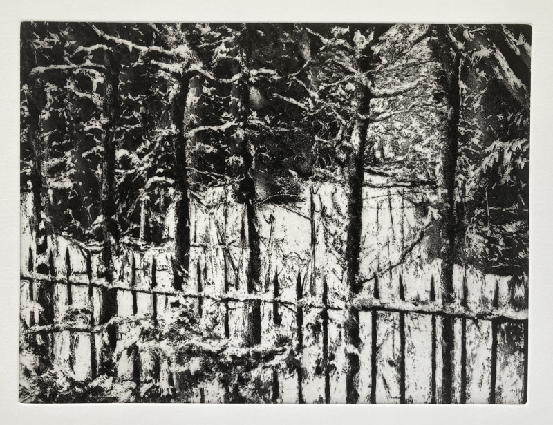 David Sully ARE, Garden Under Snow