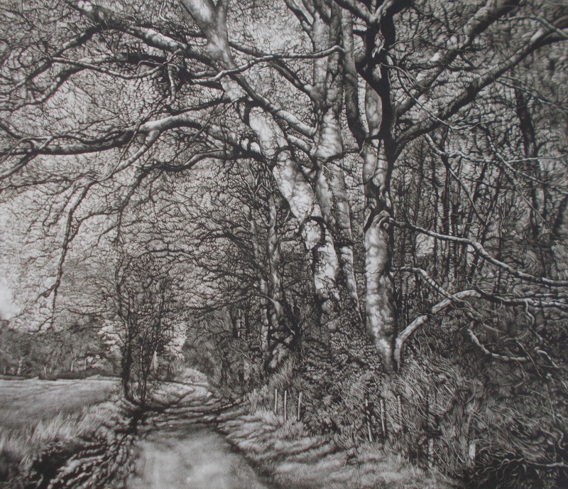 Martin Mitchell ARE, Spring Beeches