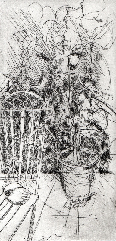 Ros Ford RE, Lemon Tree