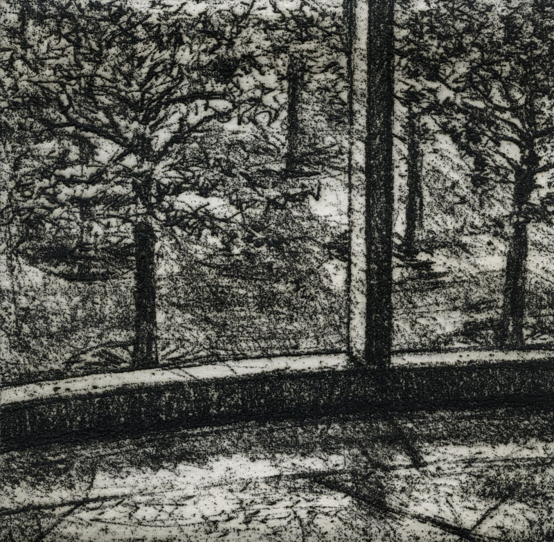 David Lintine ARE, Courtyard Trees 2
