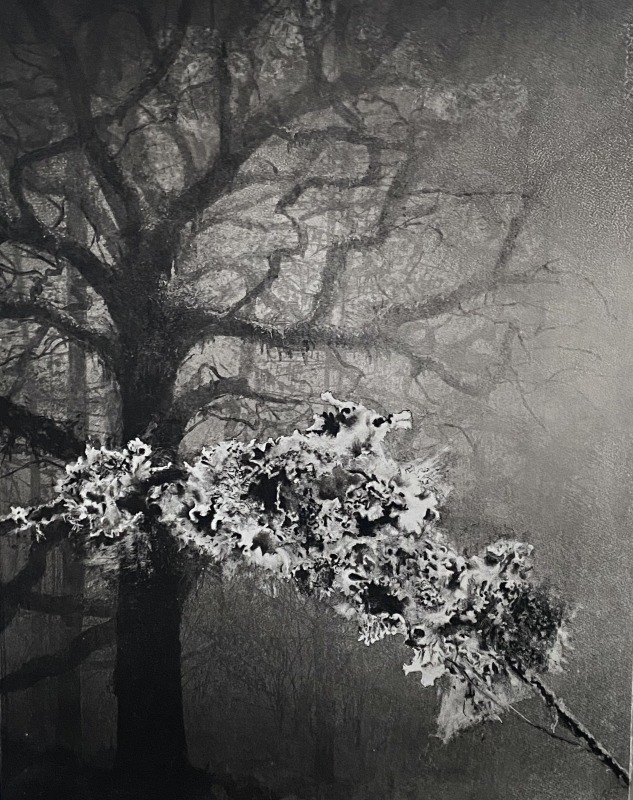 Fiona Fouhy ARE, Invocation