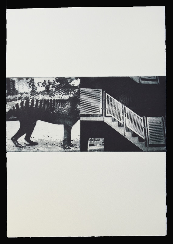 Ian Rawlinson ARE, Chimera