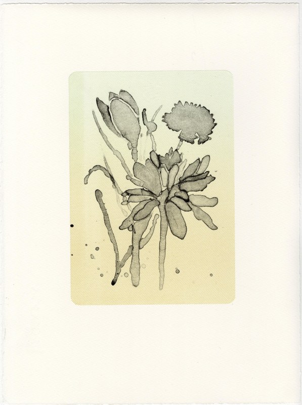 Sharon Lee RE, Posy