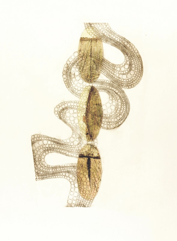 Serena Smith ARE, Heteroglossia 2