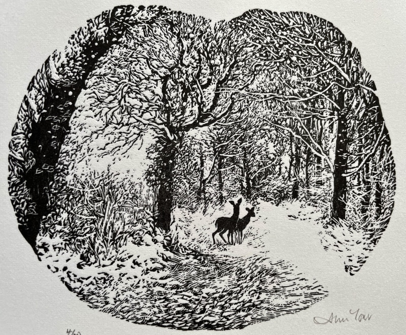 Ann Tout RE, Beyond the Clearing