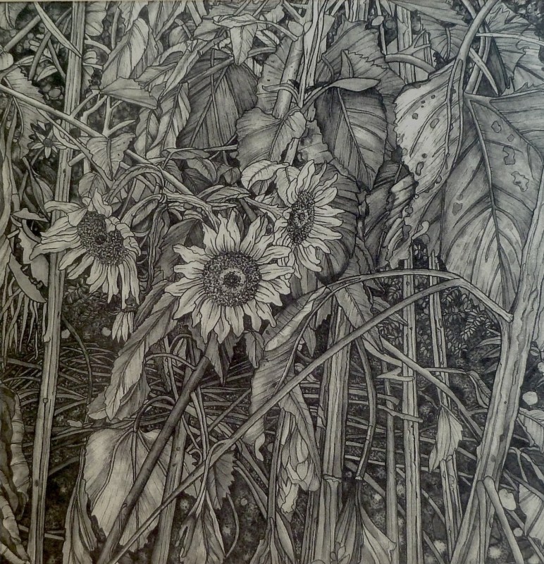 Meg Dutton RE, Night Garden Sunflowers