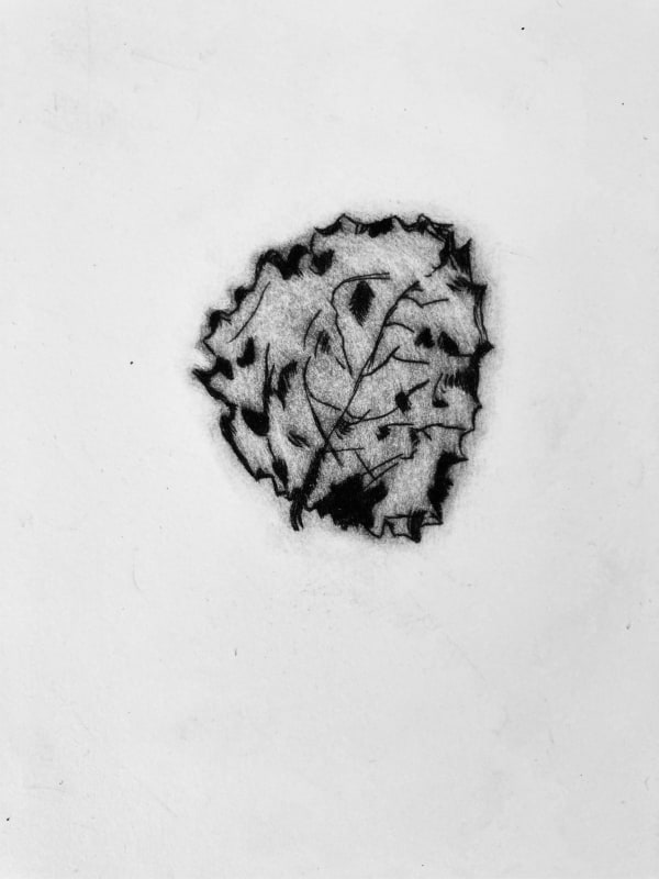 Sasa Marinkov RE, A Leaf in Snow