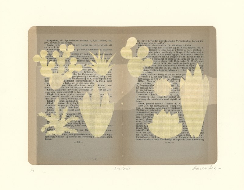Sharon Lee RE, Succulents