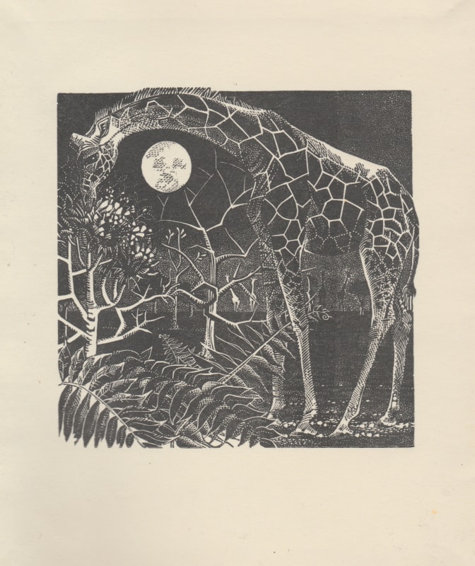 Anne Desmet RA RE, Giraffes