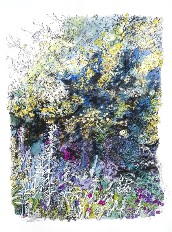 Denise Ballard-Wyllie ARE, Chelsea Physic Garden's Spring Abundance