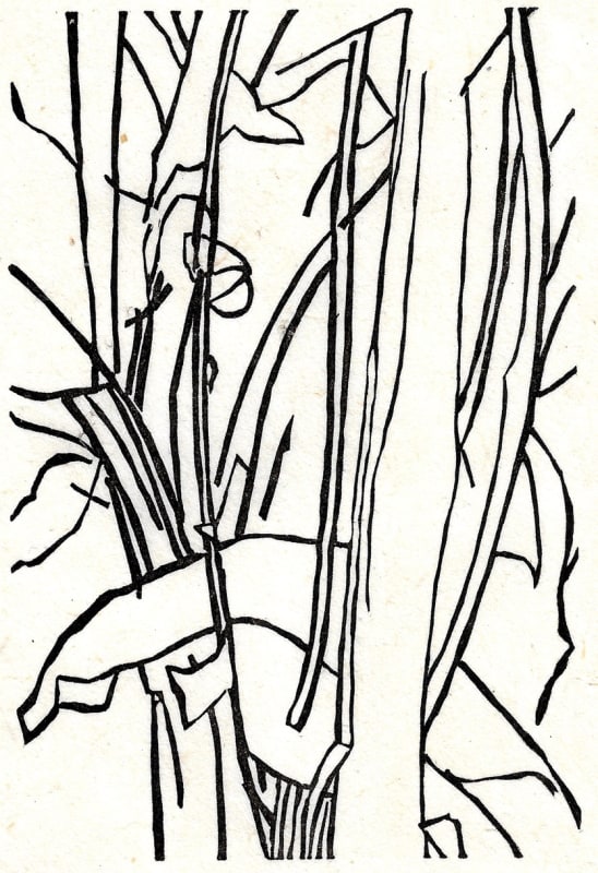 Peter S Smith RE, Leafing Through
