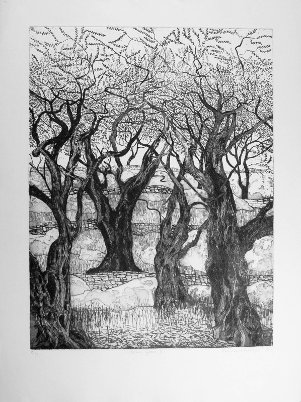 Brenda Hartill RE, Olive Grove I (Corfu) (black & white)