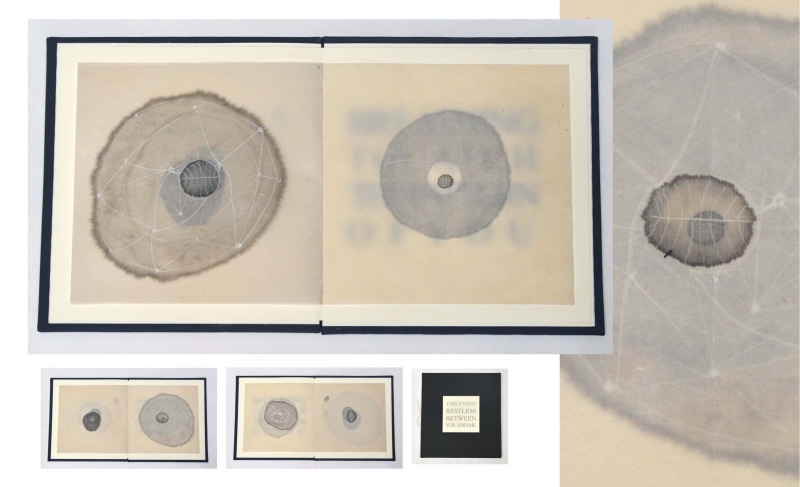 Sioban Piercy RE, Small Restive Object (Book Two)