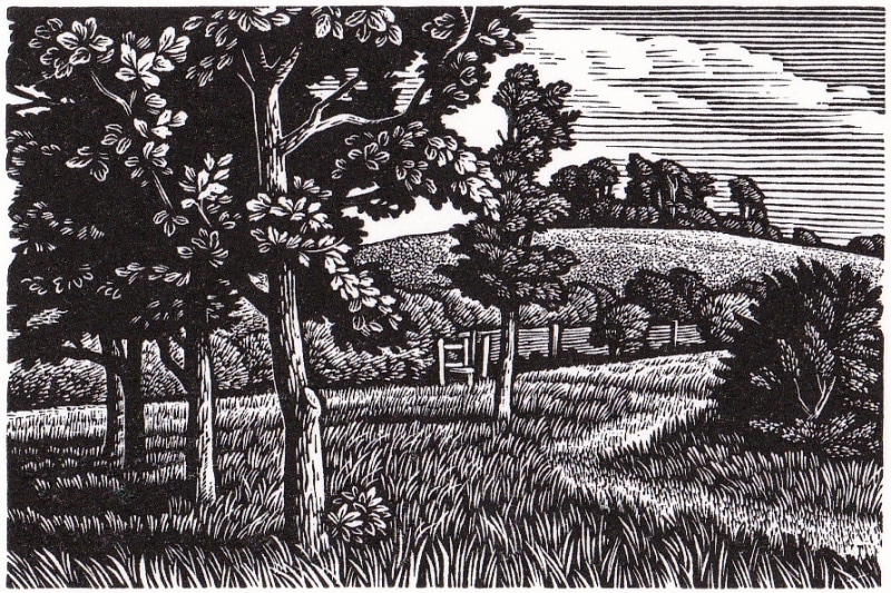 Howard Phipps ARE, Wittenham Clumps