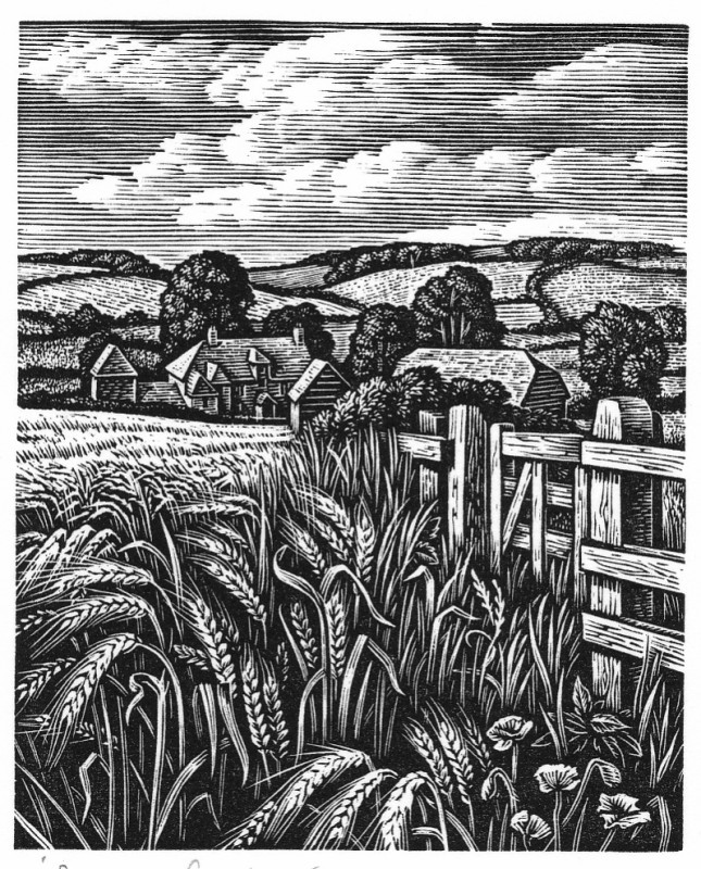 Howard Phipps ARE, Summer Fields, The Ebble Valley